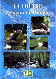 La loutre frisson de l'onde