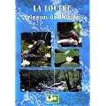 La loutre frisson de l'onde
