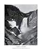 Ansel Adams (Yellowstone Falls) Unframed Art Poster Print (Framing and Wood-Mounting also available) - 16" X 20"