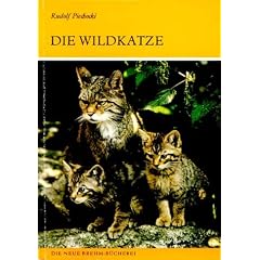 Die Wildkatze: Felis silvestris