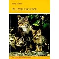 Die Wildkatze: Felis silvestris