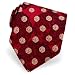 Rhinovirus Tie by I Awareables - Burgundy Silk