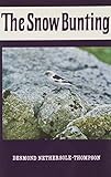 The snow bunting