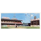 Good Sports Art Philadelphia Phillies Philly's Perfect Ace Lithograph