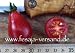 Tomatensorte => Rote Birne (Samen)