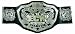 WWE ECW Championship Belt