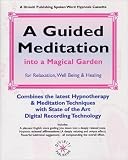 A Guided Meditation (Hypnosis Series)