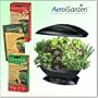 AeroGrow AeroGarden Garden Unit Black + Gourmet Herb Cherry Tomato and Salad Bar Mesclun Mix Seed Kits