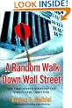 A Random Walk Down Wall Street: The Time-tested Strategy for Successful Investing