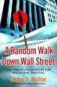 A Random Walk Down Wall Street: The Time-tested Strategy for Successful Investing
