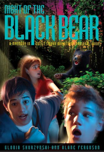 Mysteries in Our National Parks: Night of the Black Bear: A Mystery in Great Smoky Mountains National Park (Mysteries in Our National Park)