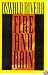 Fire and Rain: A Novel of Vietnam