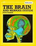 The Brain and Nervous System (Human Body)