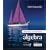 Elementary and Intermediate Algebra