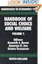 Handbook of Social Choice and Welfare, Volume 1 (Handbooks in Economics)