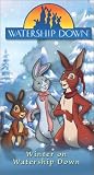 Winter in Watership Down