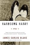 Handsome Harry: A Novel