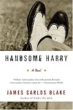 Handsome Harry: A Novel