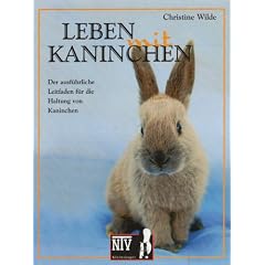 Leben mit Kaninchen