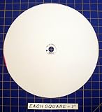 30755317-001 Circular Charts