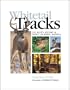 Whitetail Tracks: The Deer's History & Impact in North America