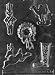 ASSORTMENT WITH STOCKING Christmas Candy Mold Chocolate