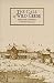 Book The Call of Wild Geese (Cistercian Studies 136)