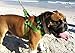 Reflective Adjustable Dog Step in Harness for Extra Large Dogs; Matching Collar and Leash Available, Green
