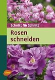 Rosen schneiden: Schnitt für Schnitt 51ESf4YoJyL. SL160 Rosen schneiden: Schnitt für Schnitt