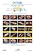 North American Meat Processors Pork Foodservice Poster, Revised