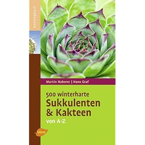 500 winterharte Sukkulenten und Kakteen