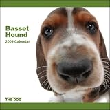 2009 Basset Hound ARTLIST Square Wall Calendar