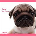 Pug 2009 Calendar