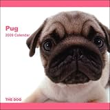 Pug 2009 Calendar