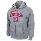MLB Minnesota Twins Long Sleeve Full Zip Hooded Fleece (Steel Heather, Medium)