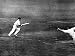 Don Bradman Square Cuts at Lord's, 1930 Photographic Poster Print, 12x16