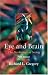 Books : Eye and Brain: The Psychology of Seeing