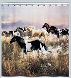 Review Creative Bath  / Band of Thunder Horse Horses Bathroom Fabric Shower Curtain Hautman Brothers