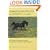 Complete Holistic Care and Healing for Horses: The Owner's Veterinary Guide to Alternative Methods and Remedies