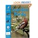 Garden Birds Handbook