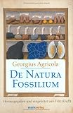 De Natura Fossilium: Handbuch der Mineralogie title=