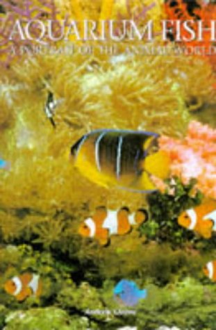 Aquarium Fish (Portrait of the Animal World)