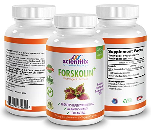 Forskolin - Powerful Slimming Aid by Scientifix - 250mg Natural Forskolin - Standardized to 20% (Maximum Recommended Strength) - 60 capsules - Safely increase your metabolism, burn away fat, and help grow lean, fat burning muscle. Forskolin also supports a host of other health benefits. See below Forskolin - Powerful Slimming Aid by Scientifix - 250mg Natural Forskolin - Standardized to 20% (Maximum Recommended Strength) - 60 capsules - Safely increase your metabolism, burn away fat, and help grow lean, fat burning muscle. Forskolin also supports a host of other health benefits. See below