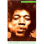 Jimi Hendrix: Electric Gypsy book cover