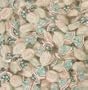 Chips Eucalyptus Menthol Jujubes 1lb