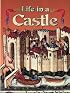Life in a Castle (Medieval World)