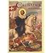 The Crusades (The Pocket Essential Series)