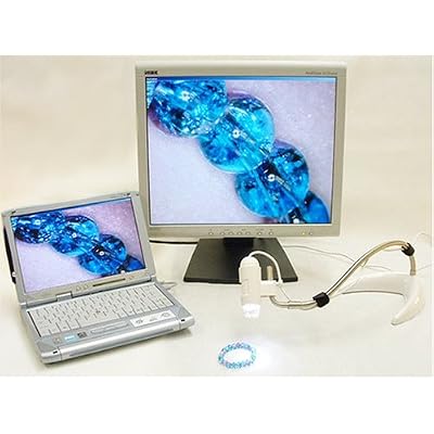 IBJSC.com