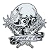 Skull Spark Plug Embroidered iron on Motorcycle Biker Patch