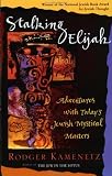 Stalking Elijah: Adventures With Today's Jewish Mystical Masters